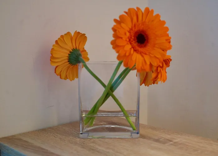 Ondarreta Stays With Independent Entrance Homestay San Sebastian