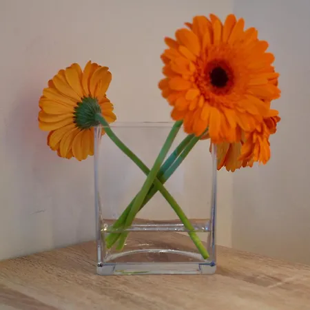 Ondarreta With Independent Entrance Homestay San Sebastian